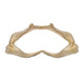 Real Silky Shark Jaw (7")