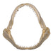 Real Sandbar Shark Jaw (9")