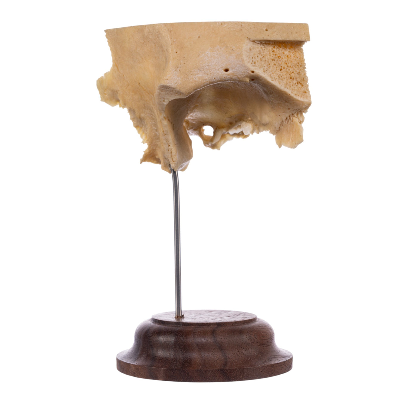 Newly Listed Products Alert