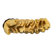 Replica African Elephant Tooth