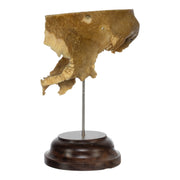 Real Human Partial Skull on Stand
