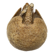 Real Preserved Three-banded Armadillo