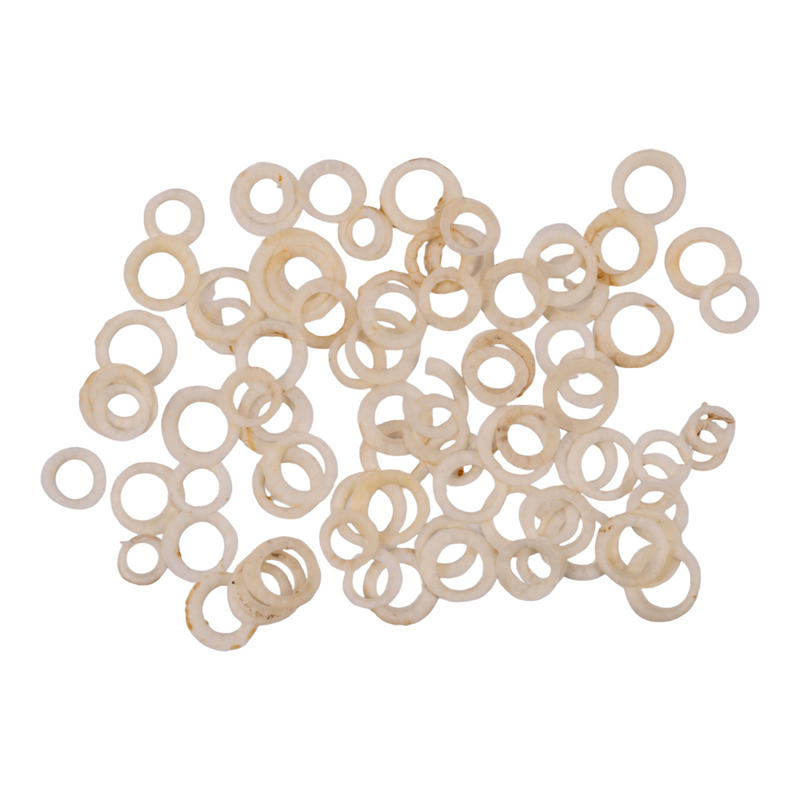 Real Bag-O-Bird Ossicles