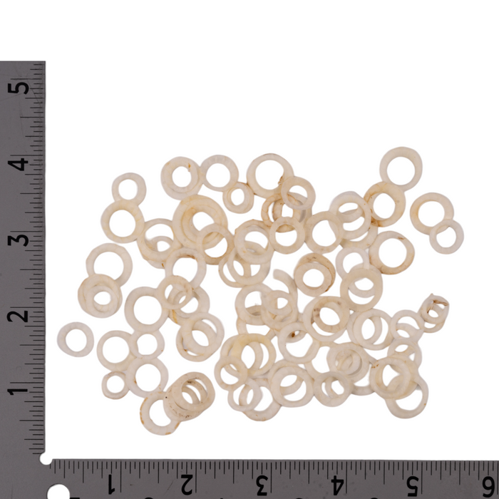 Real Bag-O-Bird Ossicles