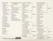 Real Domestic Dog Skeleton - Partially Articulated