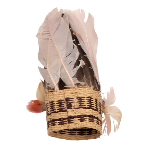 Antique Feather Band