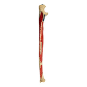 Real Human Ulna - Painted
