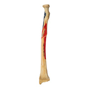 Real Human Radius - Painted