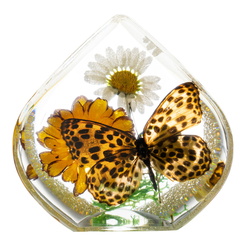 Real Butterfly and Flowers in Teardrop-shaped Acrylic Paperweight