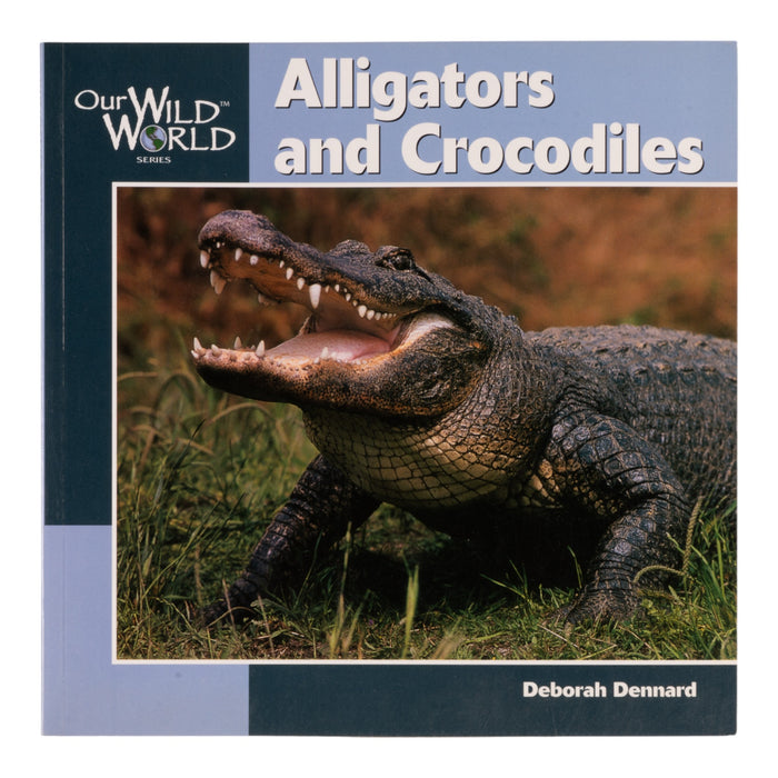"Alligators and Crocodiles" by Deborah Dennard