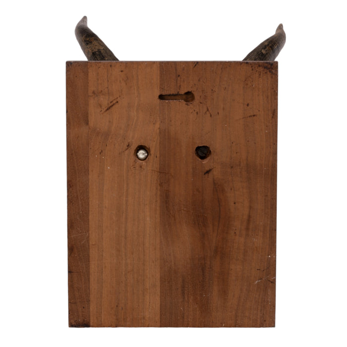 Real Grey Rhebok Skull on Plaque