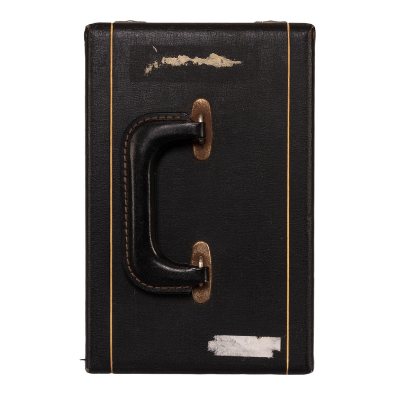 Real Human Dissected Skull with Carrying Case