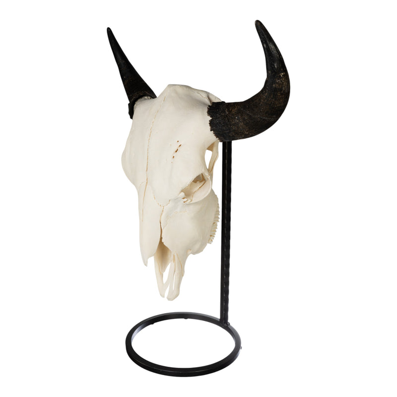 Metal Skull Mount - The Buffalo Table Bracket