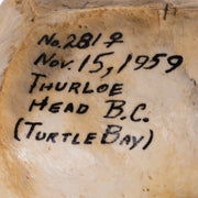 Real Sea Lion Skull - Female