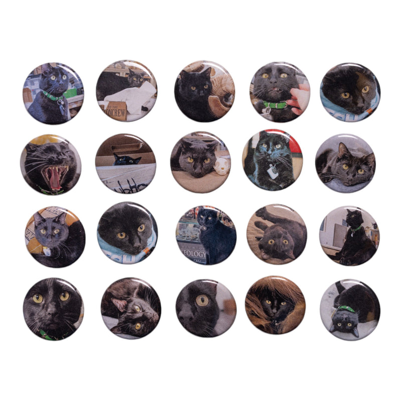 Sir Indiana Bones Button