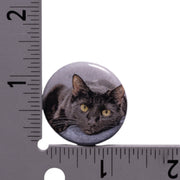 Sir Indiana Bones Button