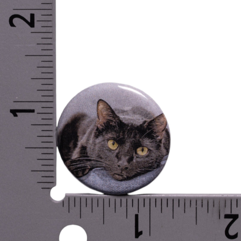 Sir Indiana Bones Button