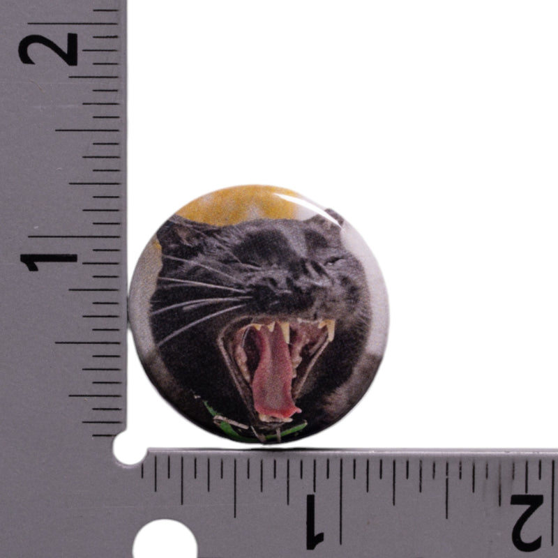 Sir Indiana Bones Button