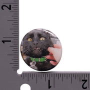 Sir Indiana Bones Button