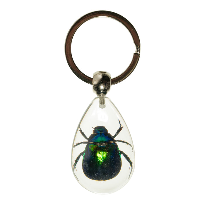 Real Rutelian Beetle in Acrylic Keychain