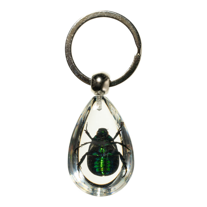 Real Rutelian Beetle in Acrylic Keychain