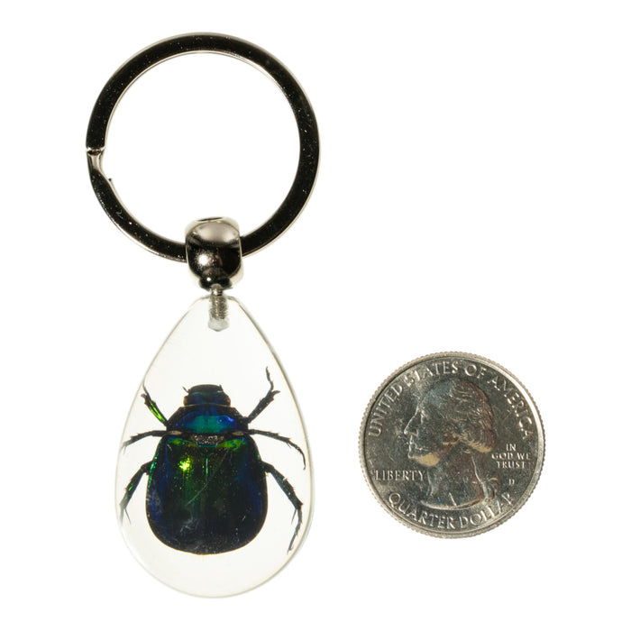 Real Rutelian Beetle in Acrylic Keychain