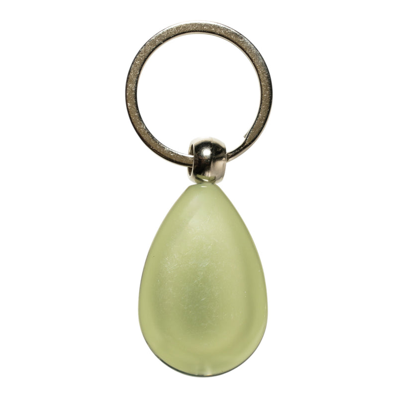 Real Rutelian Beetle in Acrylic Keychain