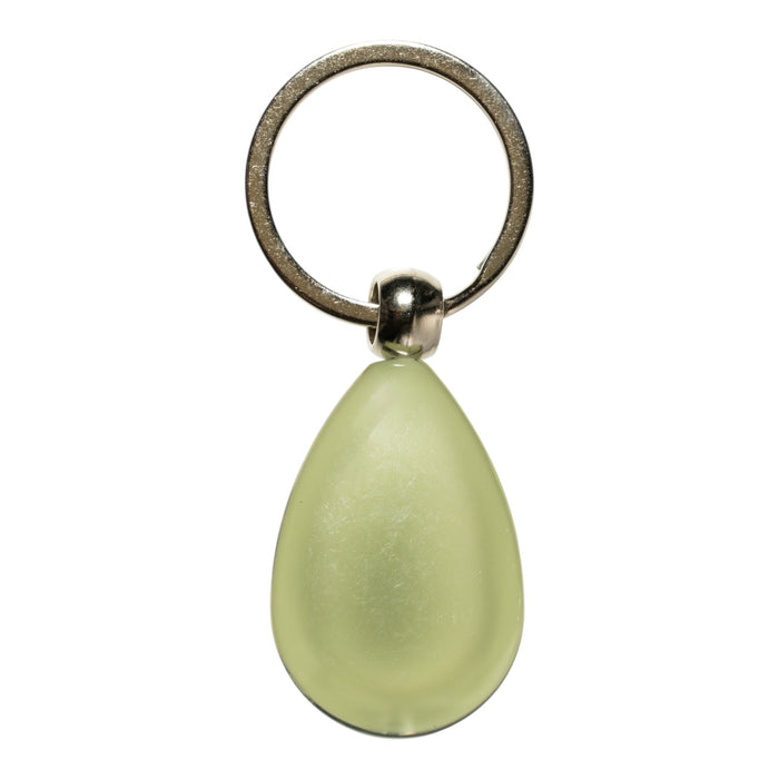 Real Rutelian Beetle in Acrylic Keychain