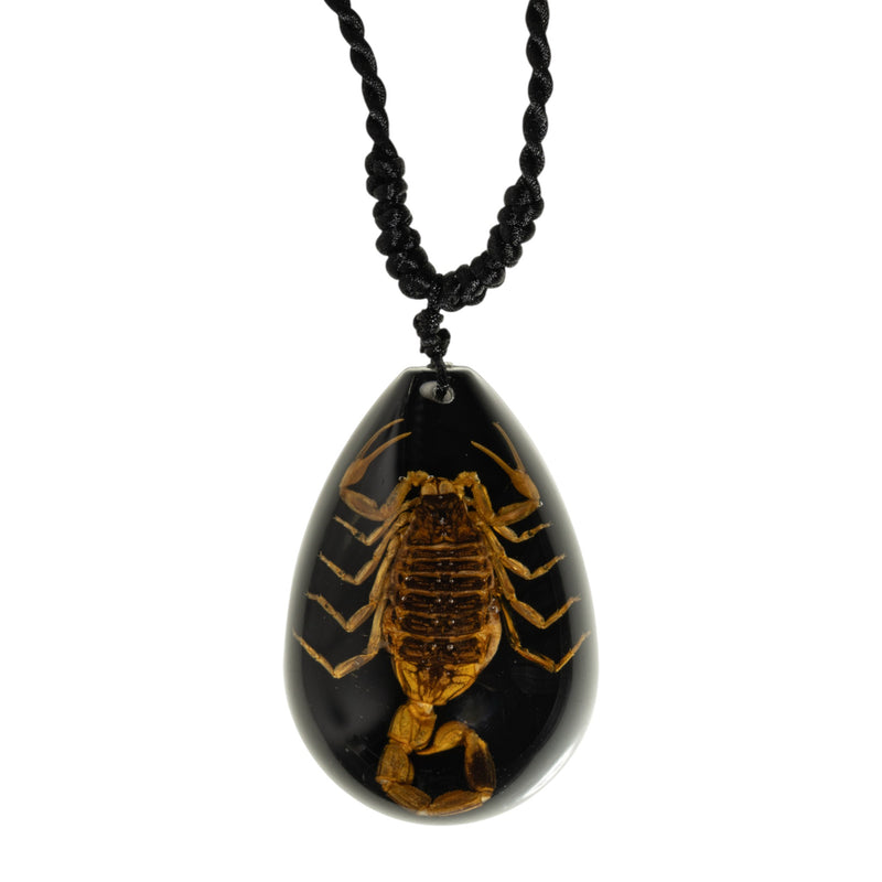 Real Golden Scorpion in Acrylic Teardrop Necklace