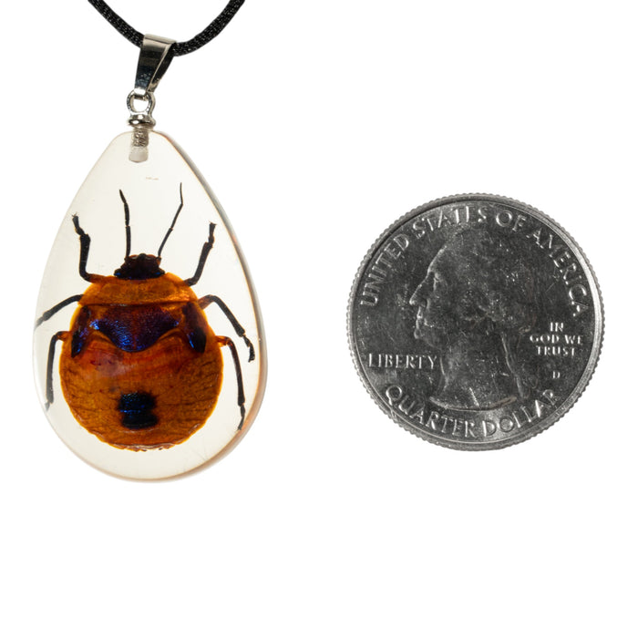 Real Shield Bug in Acrylic Necklace
