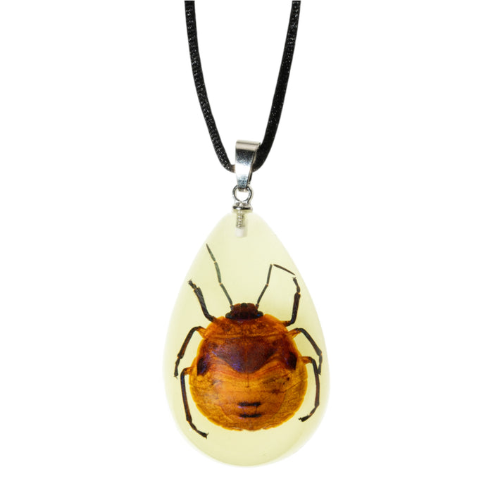 Real Shield Bug in Acrylic Necklace