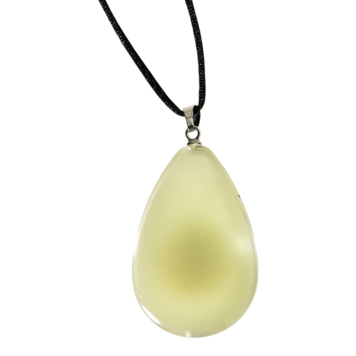Real Shield Bug in Acrylic Necklace
