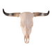 Real Longhorn Skull - Preferred Quality