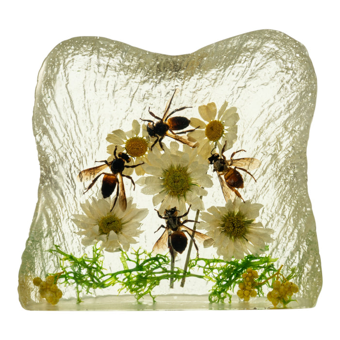 Real Honey Bee with Flowers in Acrylic Paperweight