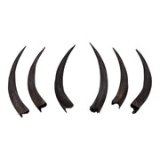 Real Kudu Horn - Single