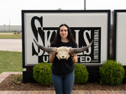 Real Longhorn Skull Plate - Limited Quantity