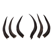 Real Kudu Horn - Single