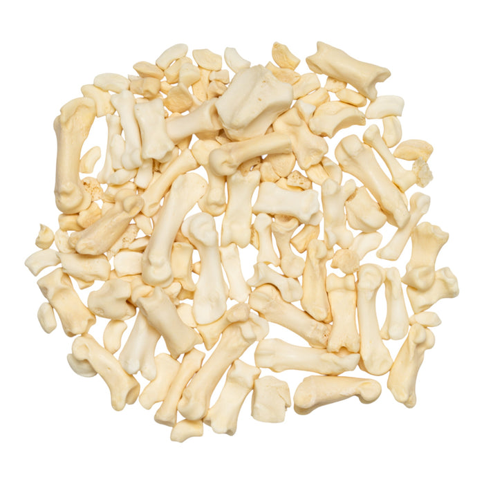 Real Bag-O-Miscellaneous Bones
