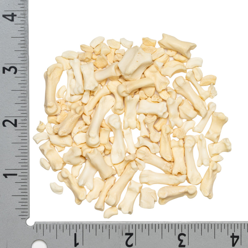 Real Bag-O-Miscellaneous Bones