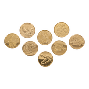 SKELETONS: Museum of Osteology Golden Medallion Coin