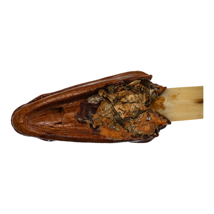 Real Spectacled Caiman Taxidermy Letter Opener