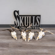 Real Domestic Goat Skull - Medium (Single)