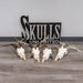 Real Domestic Goat Skull - Medium
