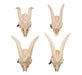 Black Friday GoatBuster Savings!