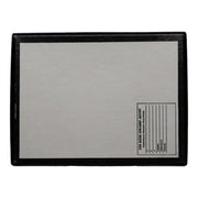 Real Fossil Shark Teeth - Set of 20