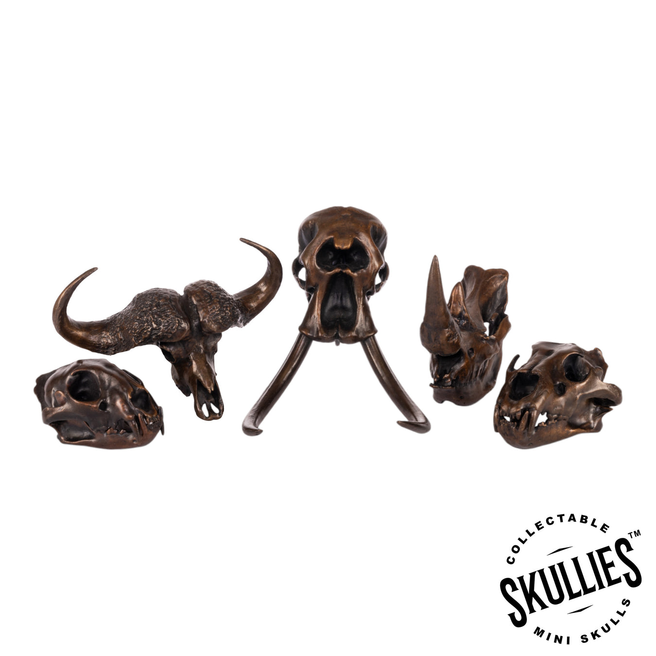 NEW Bronze Skullies!