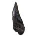 Real Megalodon Tooth - Half
