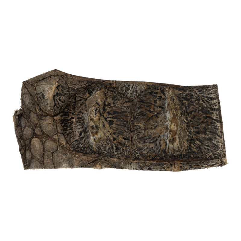 Real Nile Crocodile Hide