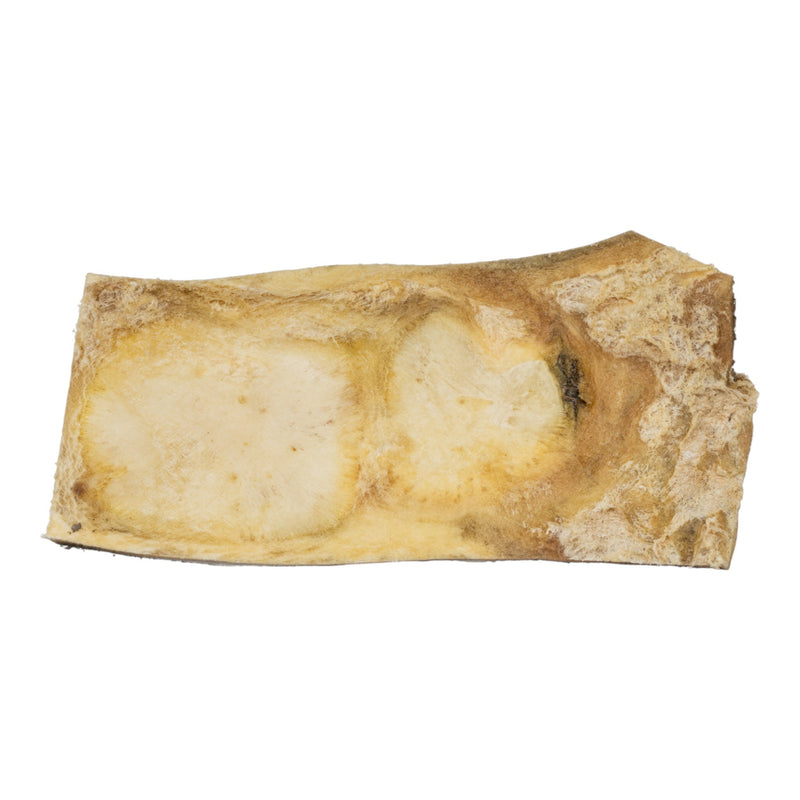 Real Nile Crocodile Hide