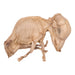 Real Domestic Pig - Freeze-dried Juvenile